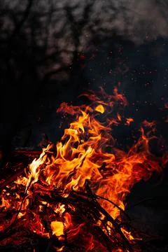 The evening fire is burning. Flames in high quality Stock Photos