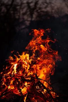 The evening fire is burning. Flames in high quality Stock Photos