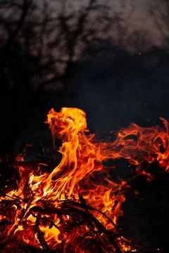 The evening fire is burning. Flames in high quality Stock Photos