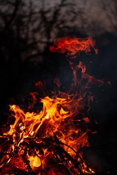 The evening fire is burning. Flames in high quality Stock Photos
