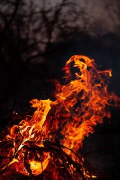 The evening fire is burning. Flames in high quality Stock Photos