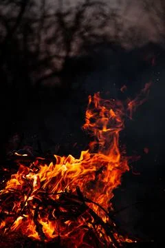 The evening fire is burning. Flames in high quality Stock Photos