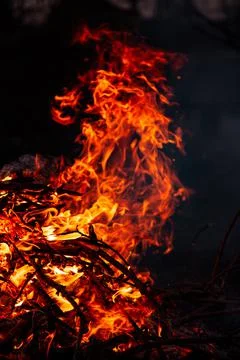 The evening fire is burning. Flames in high quality Stock Photos