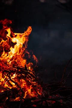 The evening fire is burning. Flames in high quality Stock Photos
