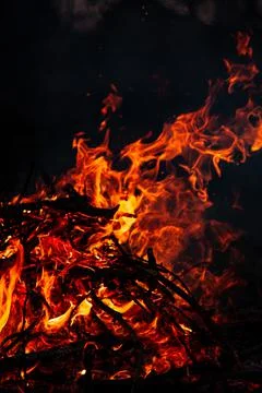 The evening fire is burning. Flames in high quality Stock Photos