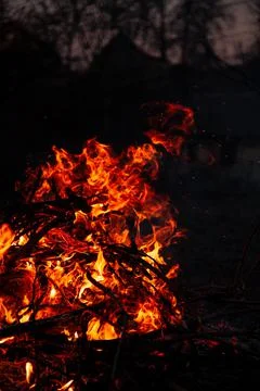 The evening fire is burning. Flames in high quality Stock Photos