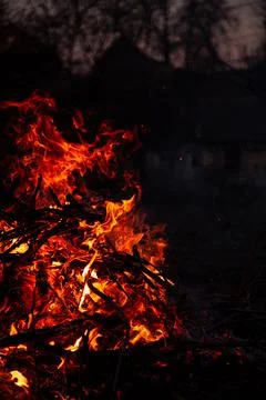 The evening fire is burning. Flames in high quality Stock Photos