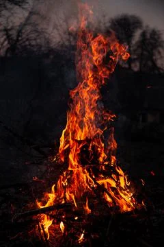 The evening fire is burning. Flames in high quality Stock Photos