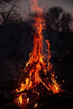 The evening fire is burning. Flames in high quality Stock Photos