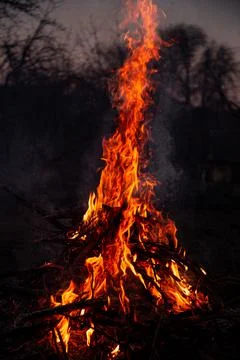 The evening fire is burning. Flames in high quality Stock Photos