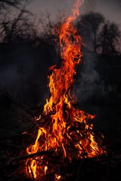 The evening fire is burning. Flames in high quality Stock Photos