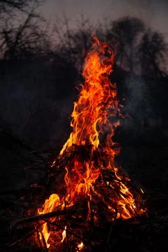 The evening fire is burning. Flames in high quality Stock Photos