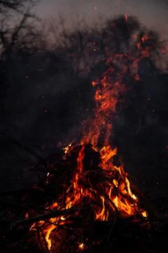 The evening fire is burning. Flames in high quality Stock Photos