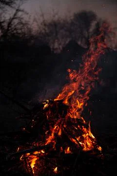 The evening fire is burning. Flames in high quality Stock Photos