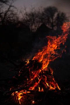 The evening fire is burning. Flames in high quality Stock Photos