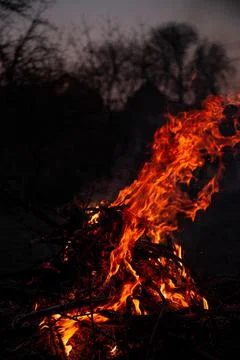 The evening fire is burning. Flames in high quality Stock Photos