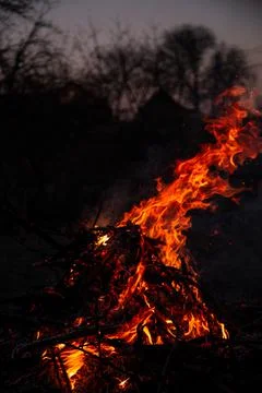 The evening fire is burning. Flames in high quality Stock Photos