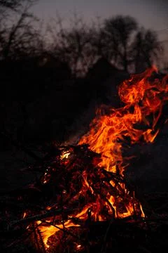 The evening fire is burning. Flames in high quality Stock Photos