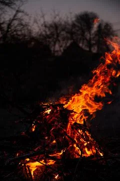 The evening fire is burning. Flames in high quality Stock Photos