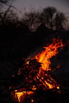 The evening fire is burning. Flames in high quality Stock Photos