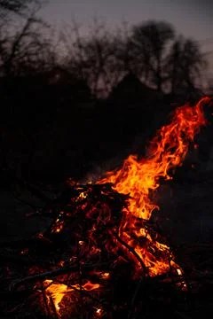 The evening fire is burning. Flames in high quality Stock Photos