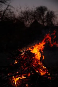 The evening fire is burning. Flames in high quality Stock Photos