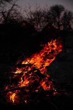 The evening fire is burning. Flames in high quality Stock Photos