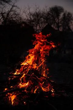 The evening fire is burning. Flames in high quality Stock Photos