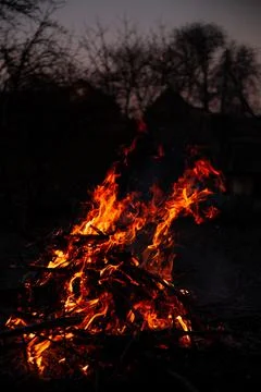 The evening fire is burning. Flames in high quality Stock Photos