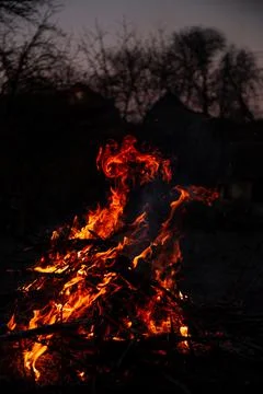 The evening fire is burning. Flames in high quality Stock Photos