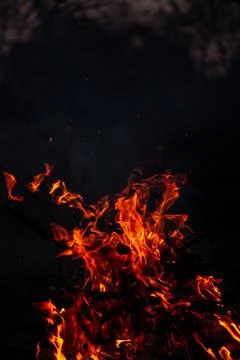 The evening fire is burning. Flames in high quality Stock Photos