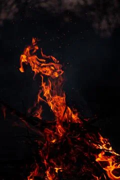 The evening fire is burning. Flames in high quality Stock Photos