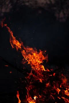 The evening fire is burning. Flames in high quality Stock Photos