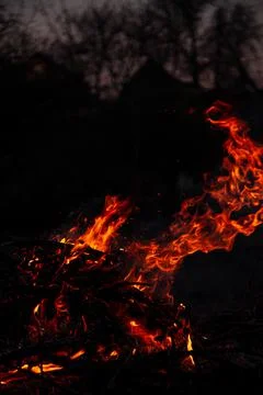 The evening fire is burning. Flames in high quality Stock Photos