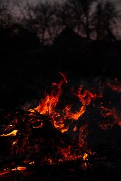 The evening fire is burning. Flames in high quality Stock Photos
