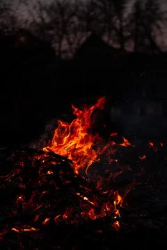 The evening fire is burning. Flames in high quality Stock Photos