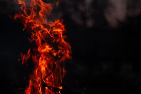 The evening fire is burning. Flames in high quality Stock Photos