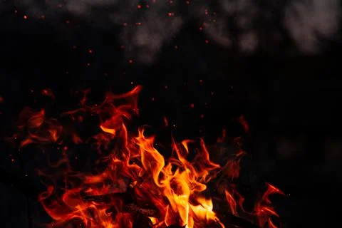 The evening fire is burning. Flames in high quality Stock Photos