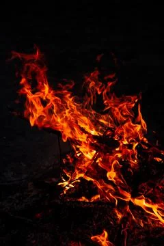 The evening fire is burning. Flames in high quality Stock Photos