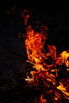The evening fire is burning. Flames in high quality Stock Photos