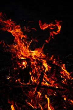The evening fire is burning. Flames in high quality Stock Photos
