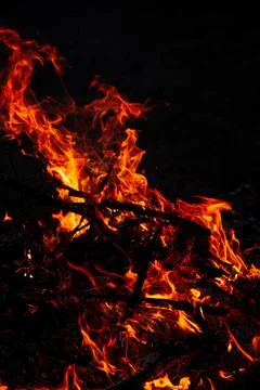 The evening fire is burning. Flames in high quality Stock Photos