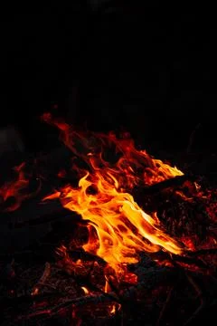 The evening fire is burning. Flames in high quality Stock Photos