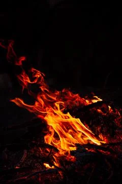 The evening fire is burning. Flames in high quality Stock Photos