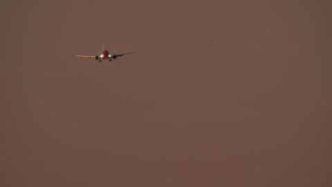 Evening flight against sunset Stock Footage 270071575