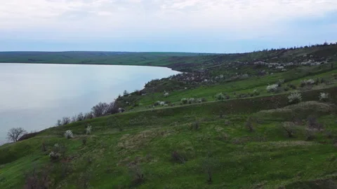 Evening flight over forest lake and meadow in summer Video stock 153037355