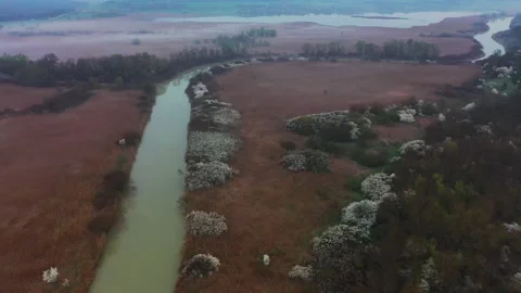 Evening flight over the forest river Stock Footage 153041010