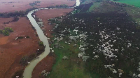 Evening flight over the winding river and meadow Stock Footage 153035459