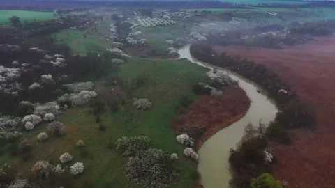 Evening flight over the winding river and bushes Stock Footage 153038754