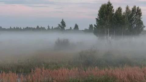 Evening fog on the field Stock Footage 295528412